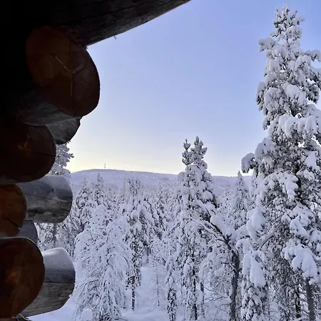 Casa vacanze Tyylikaes Vuoristokoti Taeydelliseen Perhelomaan *